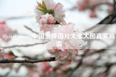天水中国金牌图片大全大图真实高清