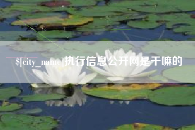 天水执行信息公开网是干嘛的