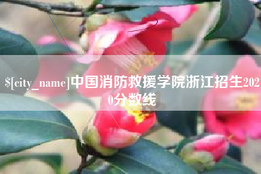 天水中国消防救援学院浙江招生2020分数线