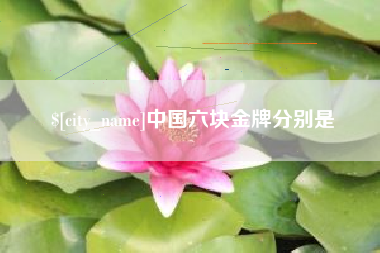 天水中国六块金牌分别是