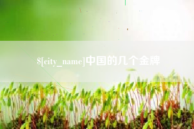 天水中国的几个金牌
