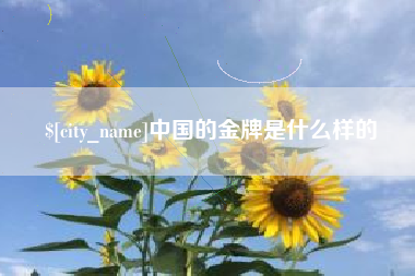 天水中国的金牌是什么样的