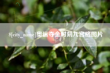 天水奥运夺金时刻九宫格图片