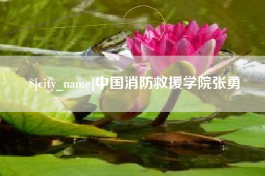 天水中国消防救援学院张勇