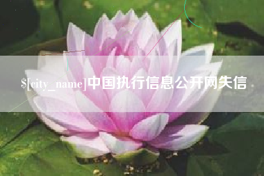 天水中国执行信息公开网失信