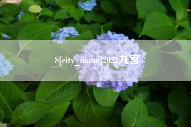 天水2022九宫