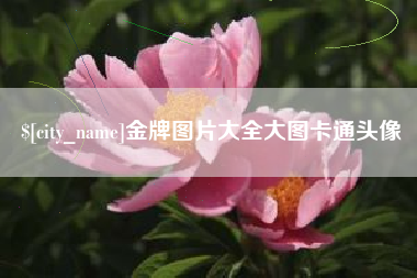 天水金牌图片大全大图卡通头像