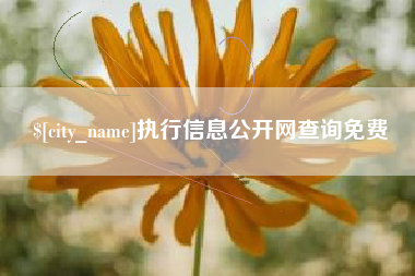 天水执行信息公开网查询免费