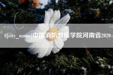 天水中国消防救援学院河南省2020