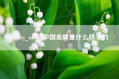 天水中国金牌是什么样子的